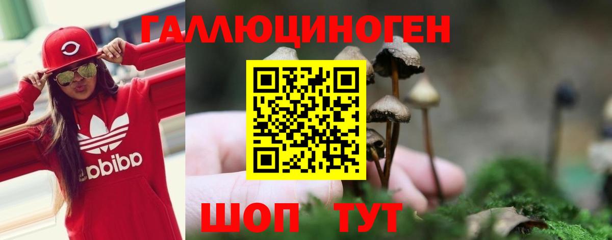 Псилоцибиновые грибы GOLDEN TEACHER  Вход с VPN  Белгород 